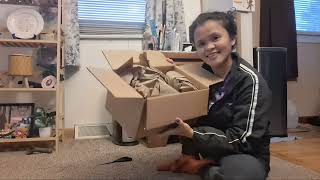 Unboxing Episode 1| Good food for indoor cats.