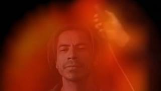Aura Imaging Shungite WinAura Healing on Armondo