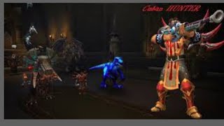 Arena session LFG heal BM hunt/resto druid