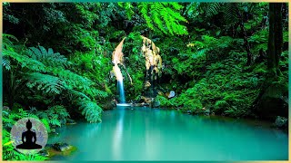 Om Meditation Music | Instant Stress Relief Subliminal | Your Oasis Of Calm | Isochronic Alpha Waves