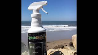 Screen Magic Window Screen Cleaner Live Stream