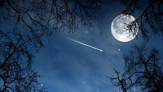'Gypsy Tears' - Laszlo Tabor & His Orchestra