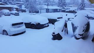 Olympia Washington snowmageddon 2021 February 13th part 2