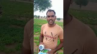 Alex world agroPower results 7891234130