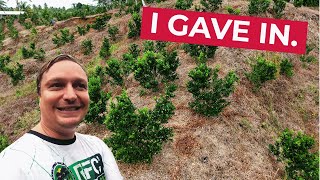 I Kept A SECRET About The Calamansi Farm (Philippines Business)