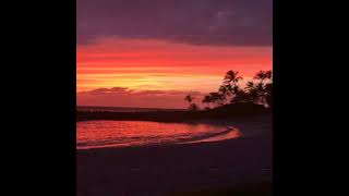 Eiras's Mind - Paradise