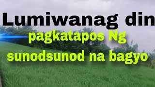 Nakalabas Ng lungga pagkatapos ng mahabang tag ulan dala Ng sunodsunod na bagyo.