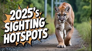 Ontario's Top Mountain Lion Hotspots Within The Past 3 Years!