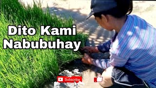 Dito Kami Nabubuhay | Omar Sampang