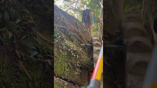 অন্ধারমানিক – বান্দরবানের লুকিয়ে থাকা স্বর্গ! 🌿✨