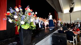 Nasjonaldagen Malm