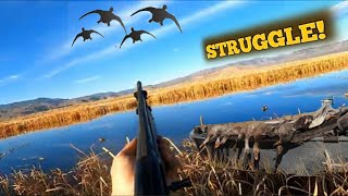 Epic Idaho Duck Hunt! Mixed Bag Marsh Hunt!