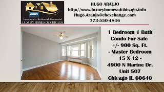1 Bedroom 1 Bath condo for sale in HILL EDUCATION CENTER Uptown Chicago Il 60640 Lakeshore