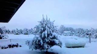 Texas after snowing all day Feb. 10