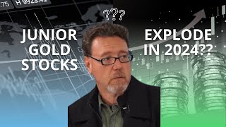 Junior Gold Stocks Set to Explode in 2024 – Expert Insights from David Erfle You Can’t Miss!