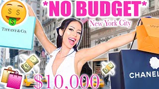 No Budget Shopping Spree: New York City!