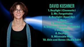 David Kushner-Smash hits mixtape of 2024-Leading Hits Mix-Insensitive