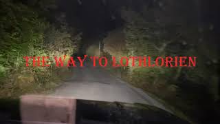 The way to Lothlorien