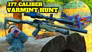 Are Small Caliber Airguns Effective on Ground Squirrels? BRK Pathfinder .177 in Action!