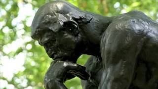 The Quest - Deep Reflexion