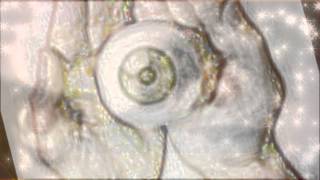 The Virtual Labb   -   Give Me A Reason