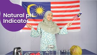 Natural pH Indicator (2024)