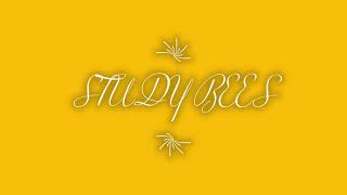 STUDY BEES INTRO!!!🎉🎉