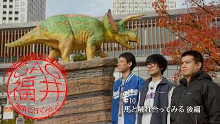 【GAG福井、福井に行く。シーズン2】＃10　馬と触れ合ってみる　後編