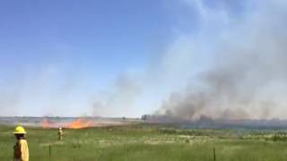 Mountain View firefighters continue to back burn the grass fire. Wind picking up. @Timescall #cofire