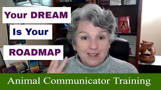 Your AC Dream Is Your Road Map to Success