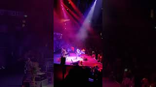 Peter Doherty playing Tell it to your King at Royal Albert Hall