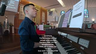 OFFERTORY HYMN - THE HAND OF THE LORD (28 JUNE 2026)