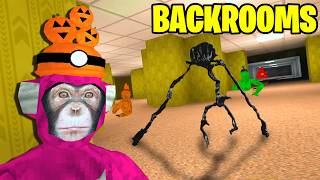 I Explored The Big Scary Backrooms Update
