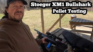 Stoeger XM1 Bullshark, Pellet Testing