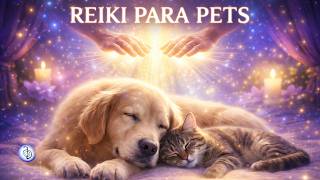 Música Reiki para Pets 🐶🐱 Energia de Cura, Calma e Proteção