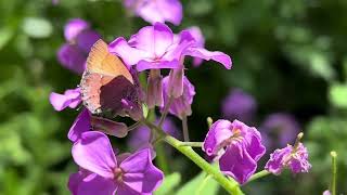 1. Season 3 of The Horse Mural