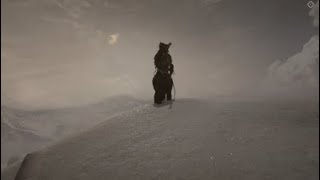 Majestic Vid*