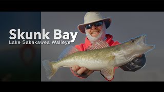 Skunk Bay - Lake Sakakawea Walleye