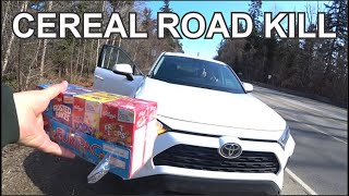 Found Food On The Roadside!