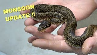 Monsoon Update And The Story Behind It !!!