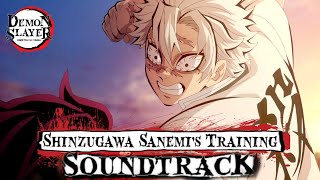 Shinazugawa Sanemi's Training OST [Official Demon Slayer OST] (鬼滅の刃) - Hashira Training Arc