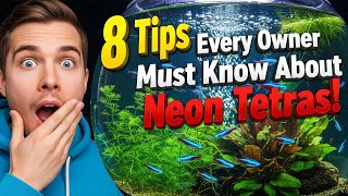 Neon Tetra Care Secrets: 8 Tips Every Owner Must Know!