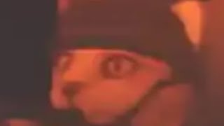 goofy ah video