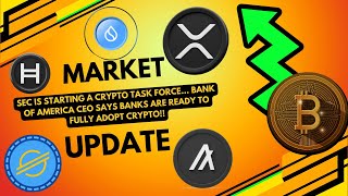 The Crypto Market Is Pumping Today Due To Great News!!