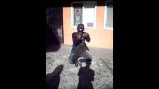 Shinobi- Animaniakz- Touchin it