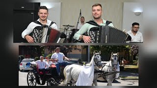 Ork. Nikole Lukica ``Ajkule`` - Zlatna svadba  Nade i Sinise Krokija -Svilajnac 2025