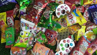 Chocolate vs. Real Food Challenge! 🍫 | Can You Guess?