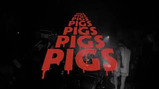 Pigs Pigs Pigs Pigs Pigs Pigs Pigs - 'Sweet Relief' (live at The Engine Room, North Shields)