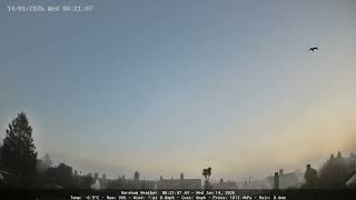 Wareham - Daily Time-lapse - 14/01/2026