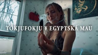 Tokju Fokju - Egyptská mau (Tomas Drewin Edit)